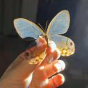 luminaamor