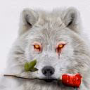 Black_Wolf_99