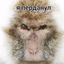 chernogolovka5