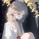 12cgdrs