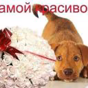 user15605878