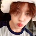 Henlix_top