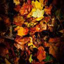 Kyst_Heri