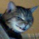 Kamiirleg