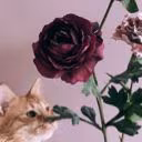 nastyabook57