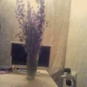 Liza3311447700