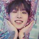 geominam