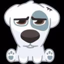 papda8