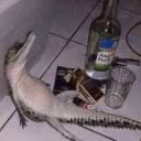NekroBraker