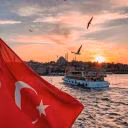 turkishtulip