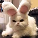Mirtl_Little