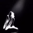 Comtesse_Marijuana