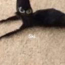 Just1Kris_