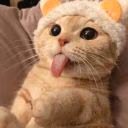 MashaCat143