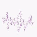 Obkypennblu