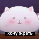 Smal_Cloud7