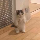 Olek_12345