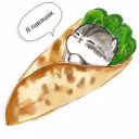 shaavermaa