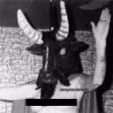 Morbid_dog
