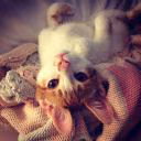 Masha_Matveewixvi