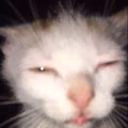 qwllkp_x1