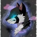 user27411810
