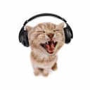 kitticat27