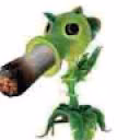 user657444201688