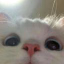 _kysmur04