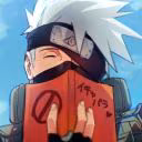 Erosannins_student