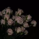 _z-a_132010