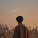 fan_newt_l