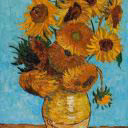 _-_Sunny_-_