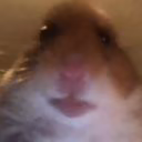 lynu4ek