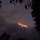 Moonlig_dream