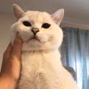 Aanyaaa21