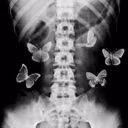 butterflyheart718