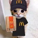 kotik_uwu29833883