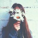 FortisStoun