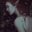 Kara_Wolf