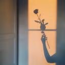 83DesertRose73