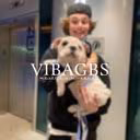 vibagbs