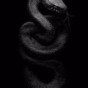 Leya_S_