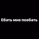 Mvyxrq758