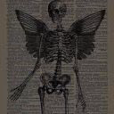 miracle_sleepwalker
