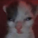 jiljilj