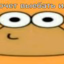 IHHHHHHHH78781