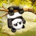 panda_ae666