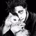 user0029061