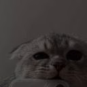 user52996917